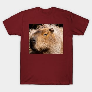 Capybara T-Shirt